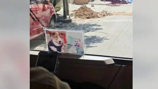 Bengaluru auto driver carries photo of late dog in vehicle 