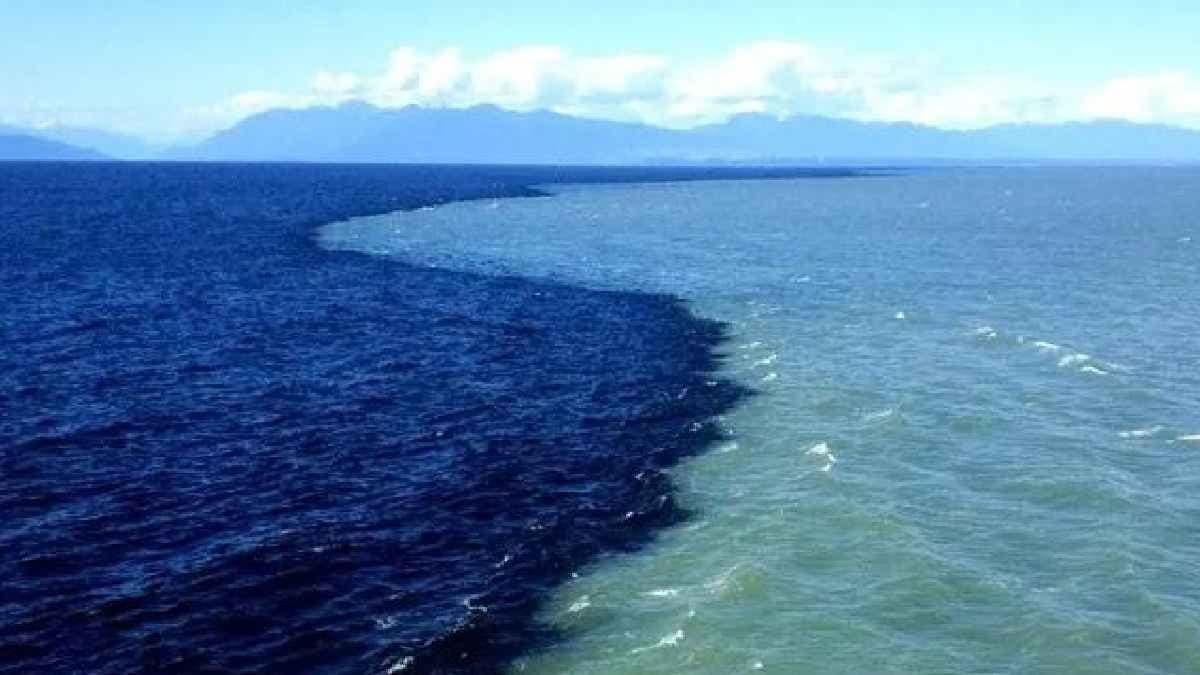 One sea on Earth that suck Carbon dioxide