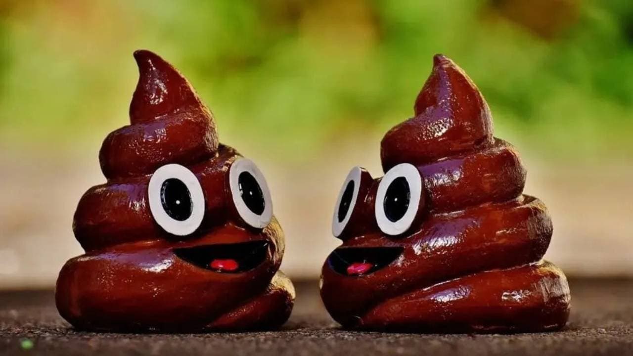 Health Tips: Your poop type can indicate about health problems