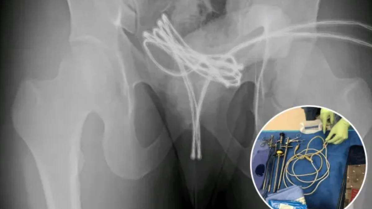 New trend of self pleasure Sounding