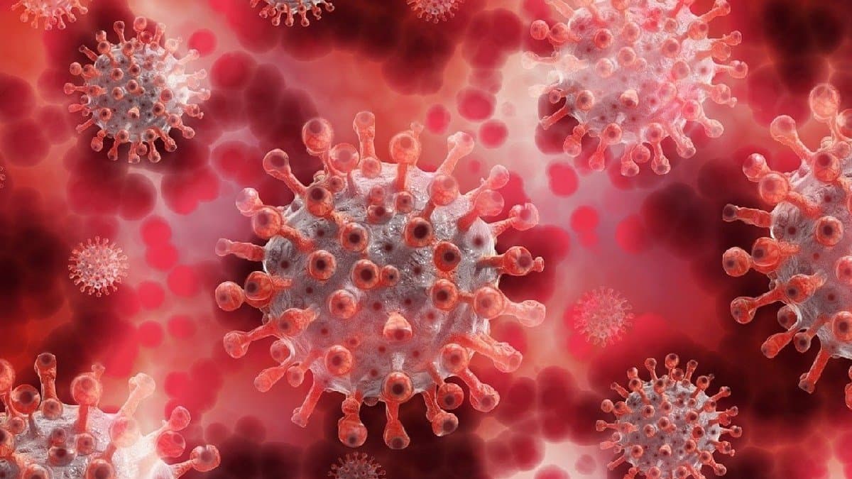 COVID 19 update india sees fresh spike in covid 19 5755 active cases on 8 june