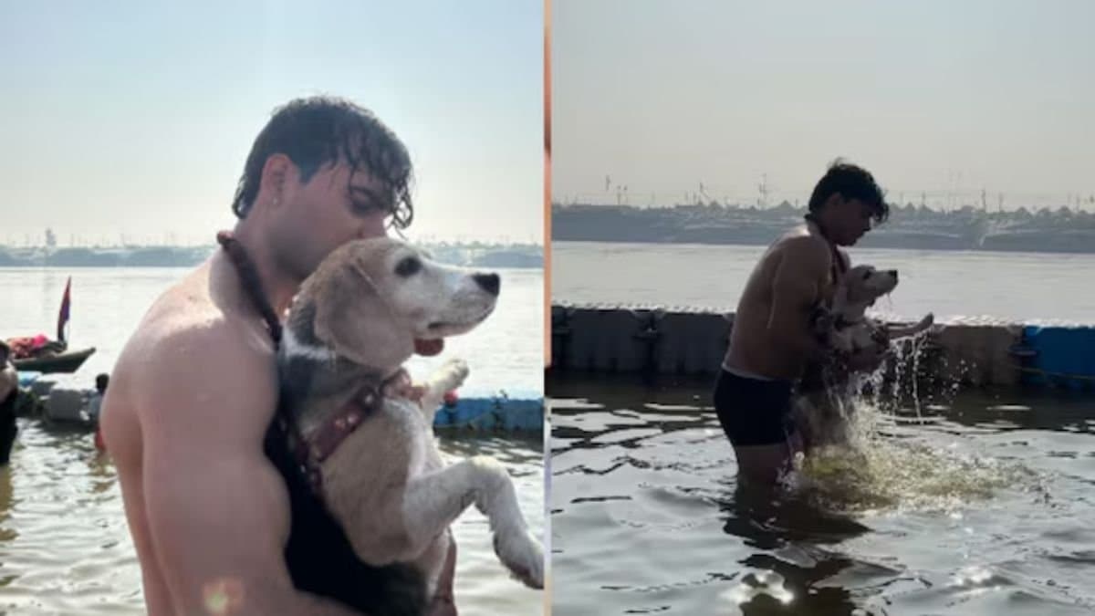 picture of a dog is taking a holy dip at Maha Kumbha