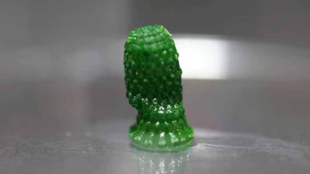 Scientists create living material that sucks Co2 from the air