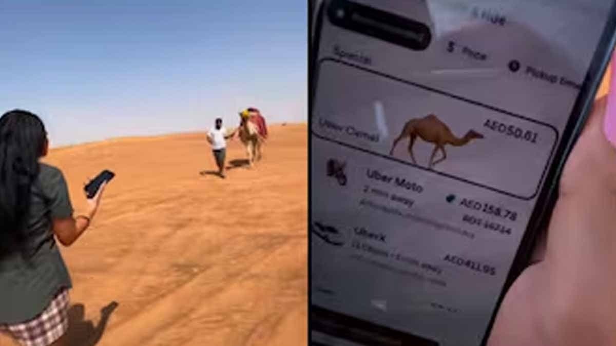 Woman gets stranded in Dubai's desert, books camel ride via Uber gnr