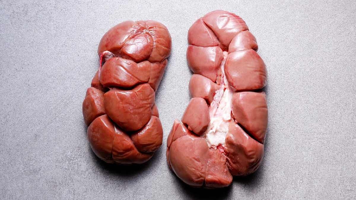 Holding urine for long among top reasons of chronic Kidney Disease