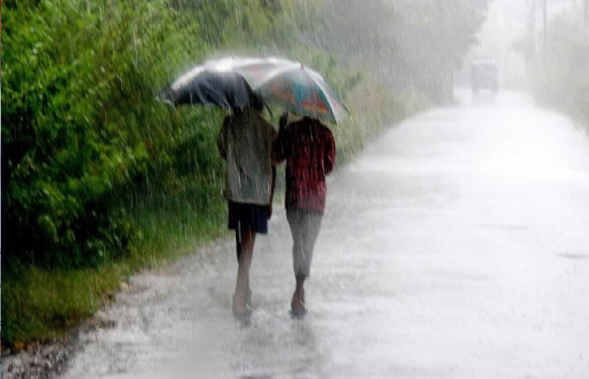 Weather Update: রথযাত্রায় জেলায় জেলায় ঝেঁপে বৃষ্টি, উত্তরবঙ্গে দুর্যোগের আশঙ্কা 
