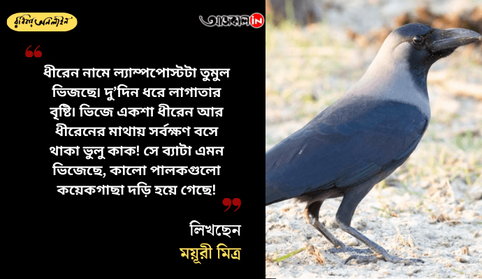 Prajapati Story Review: Bhulu the Crow and Ishani’s Heartwarming Bond