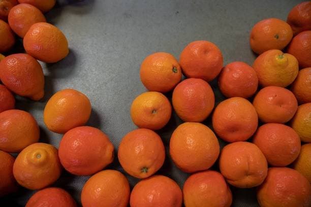 There will be fights, but the film business will be done, that's the game.