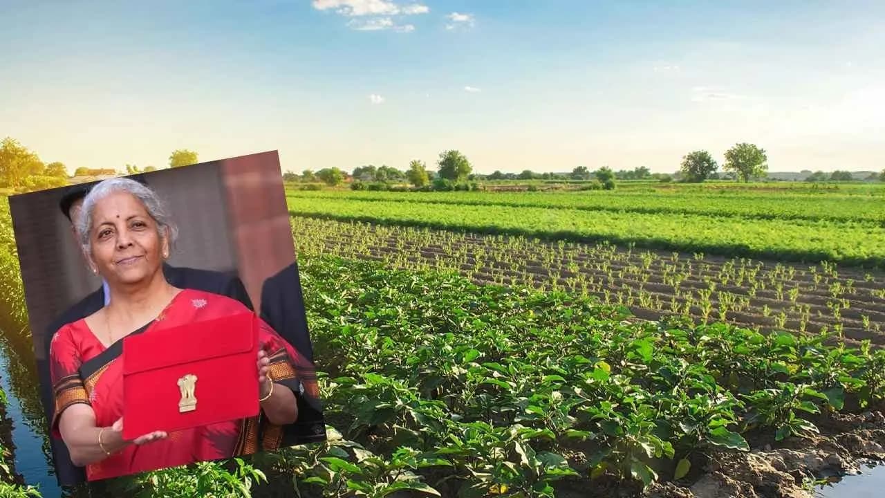 যাদবপুর বিশ্ববিদ্যালয়ের 'এন-জেন' পোস্ট অফিস